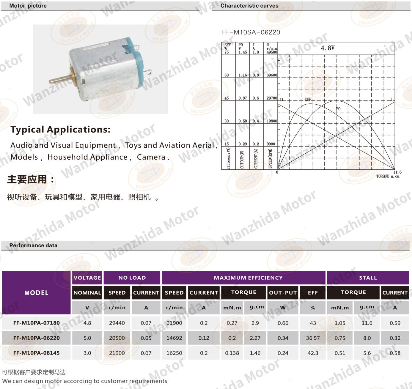 M10 Brush DC motor-wanzhida motor