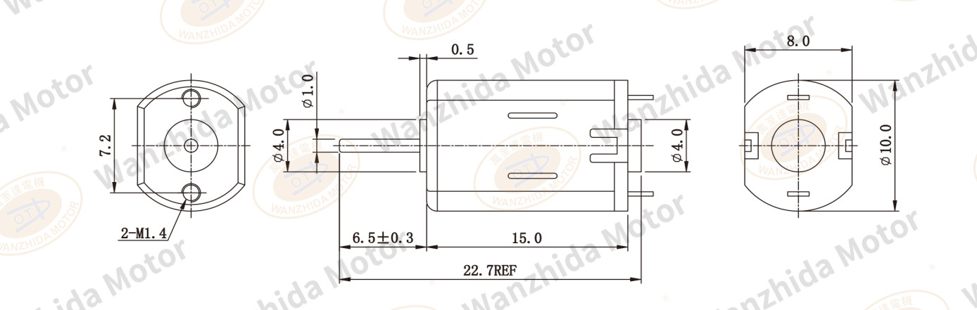 M20 Brush DC motor-wanzhida motor