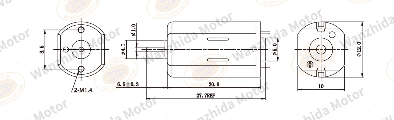 OT-FF-N30 Brush DC motor-wanzhida motor