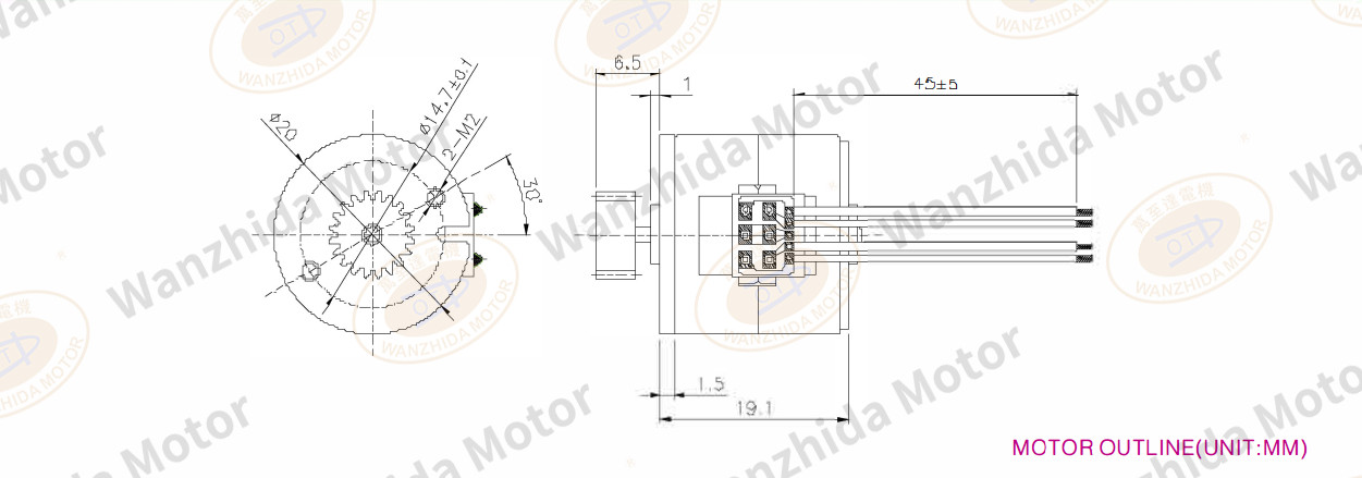 OT-SM20P-046 PM stepping motor-wanzhida motor